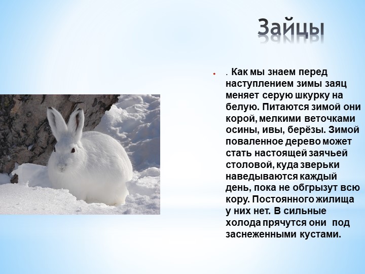 Презентация Кто как готовится к зиме