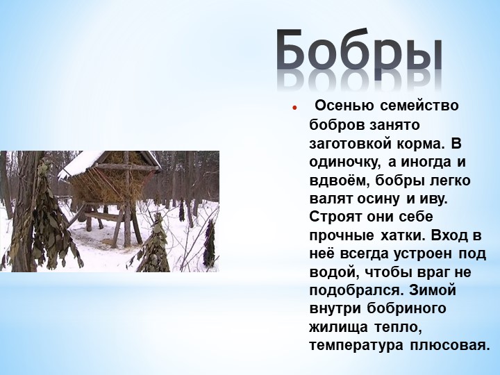 Презентация Кто как готовится к зиме
