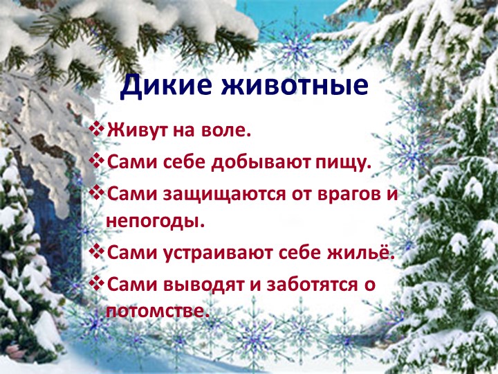 Презентация по ознакомлению с окружающим "Дикие животные зимой"