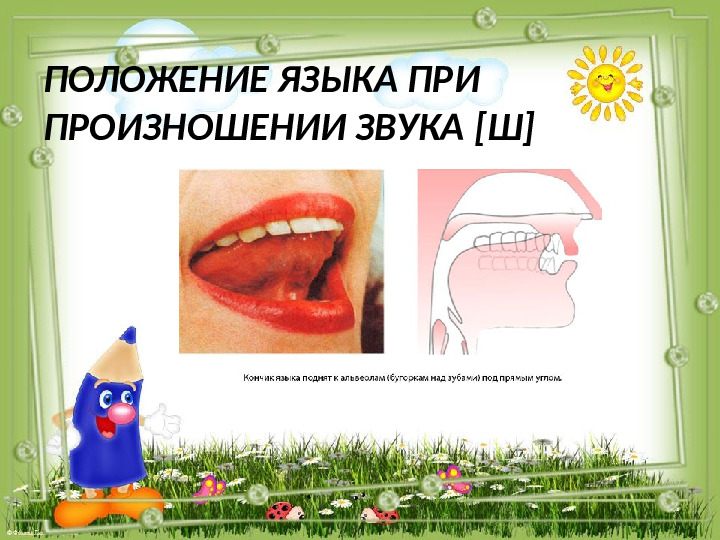 Презентация по логопедии "Автоматизация звука [Ш]