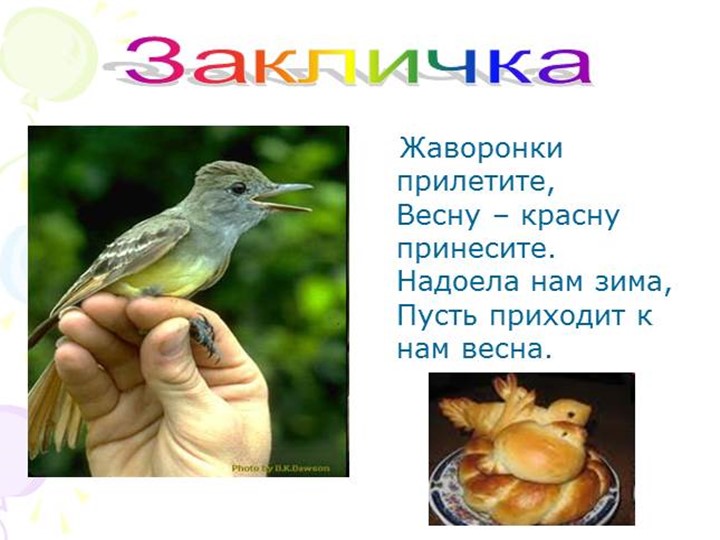 Презентация по ознакомлению с природой"Птицы весной"