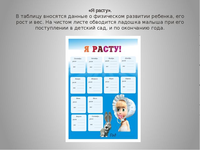 Структура портфолио дошкольника