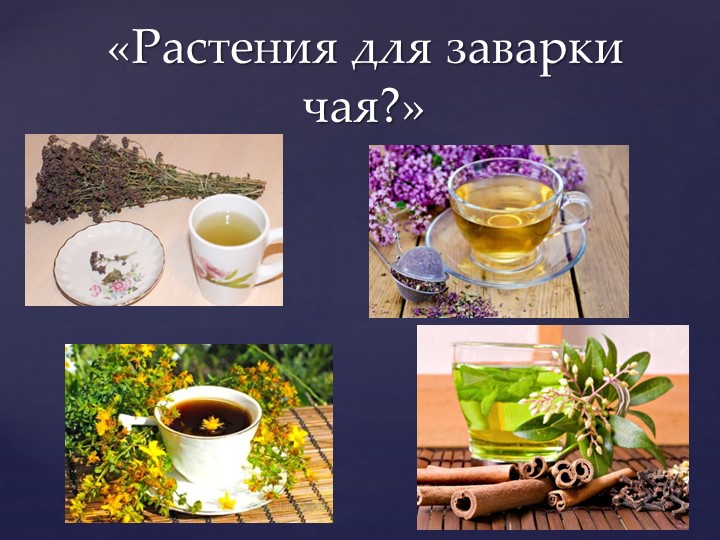 Открытое мероприятие "В гостях у чая"