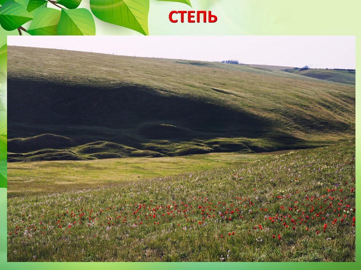 Презентация по окружающему миру "Животные степи"
