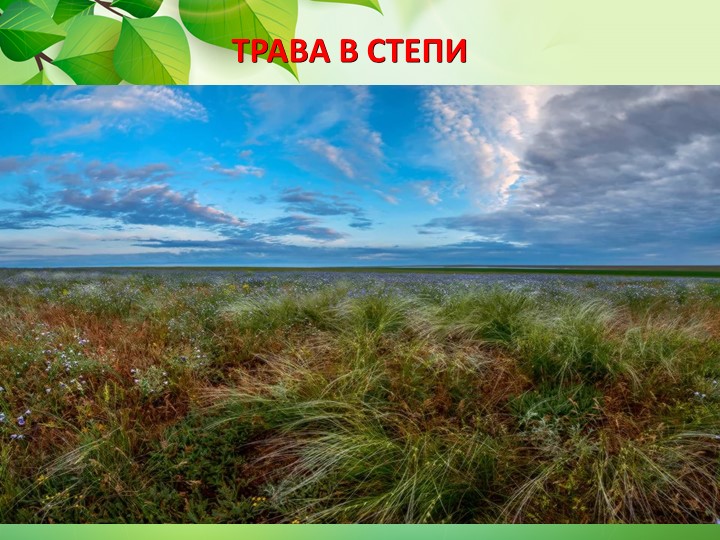 Презентация по окружающему миру "Животные степи"