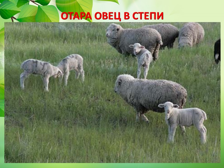 Презентация по окружающему миру "Животные степи"