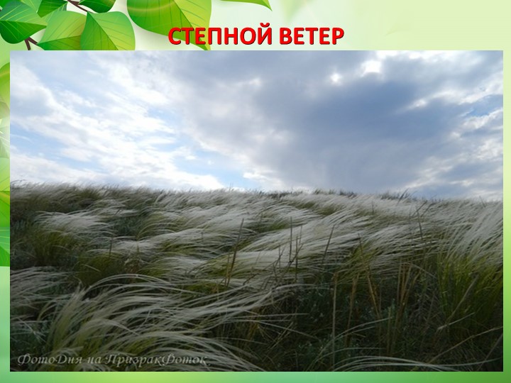 Презентация по окружающему миру "Животные степи"