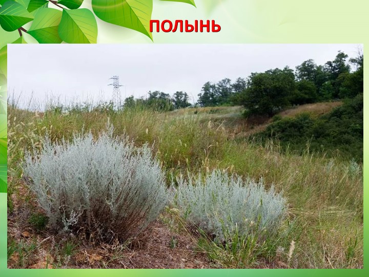 Презентация по окружающему миру "Животные степи"