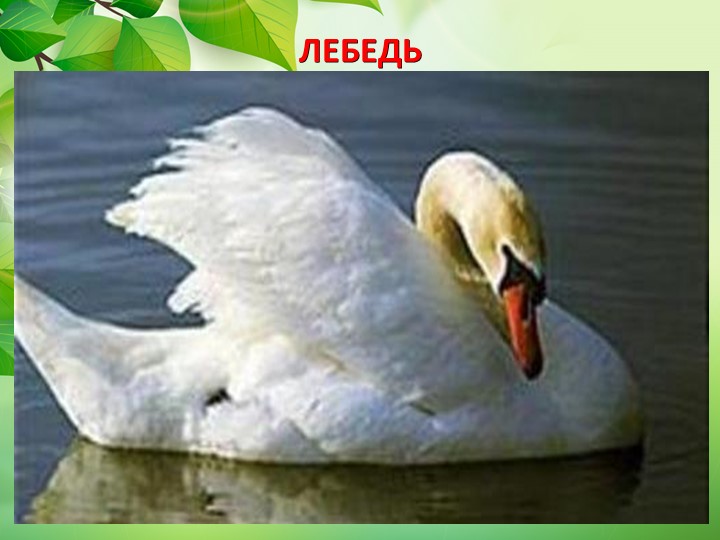 Презентация по окружающему миру "Животные степи"