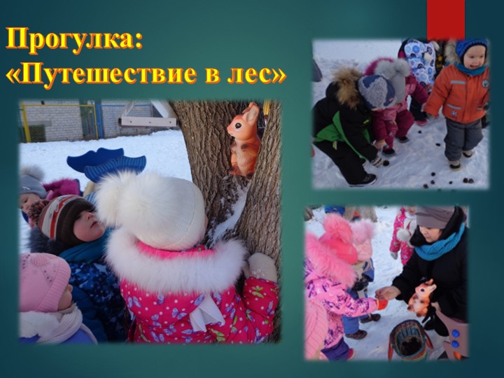 Презентация для воспитателей "Организация прогулки в ДОУ"