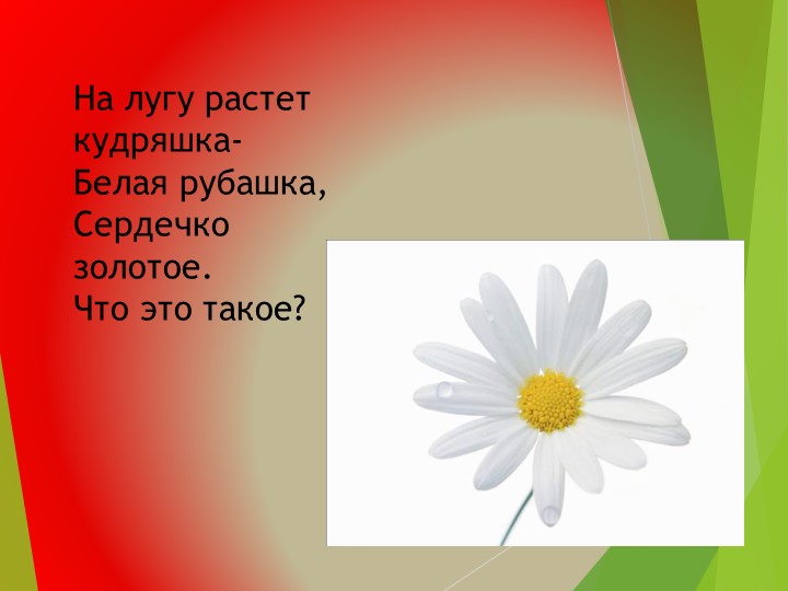 Презентация на тему:"Развитие общих познавательных способностей. Цветы", дошкольное образование"