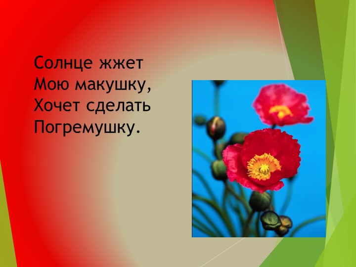 Презентация на тему:"Развитие общих познавательных способностей. Цветы", дошкольное образование"