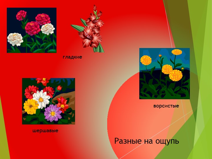 Презентация на тему:"Развитие общих познавательных способностей. Цветы", дошкольное образование"