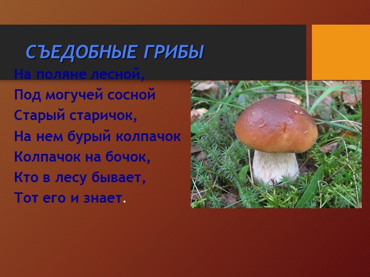 Презентация на тему:"Съедобные и несъедобные грибы"