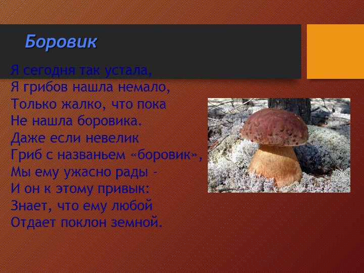 Презентация на тему:"Съедобные и несъедобные грибы"