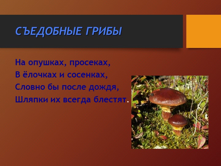 Презентация на тему:"Съедобные и несъедобные грибы"