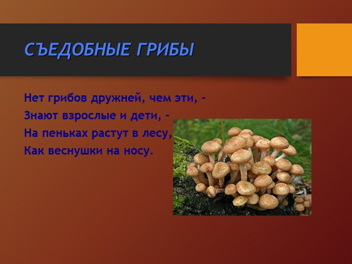 Презентация на тему:"Съедобные и несъедобные грибы"