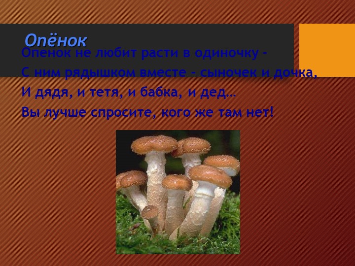 Презентация на тему:"Съедобные и несъедобные грибы"