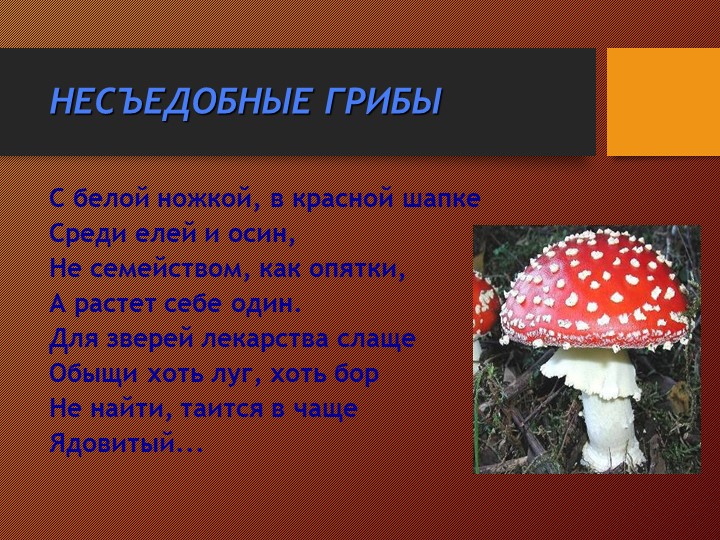 Презентация на тему:"Съедобные и несъедобные грибы"