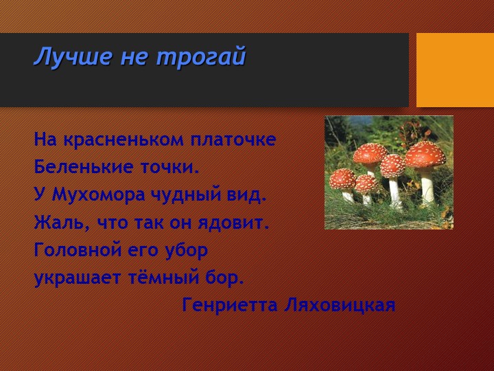 Презентация на тему:"Съедобные и несъедобные грибы"