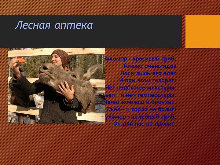 Презентация на тему:"Съедобные и несъедобные грибы"