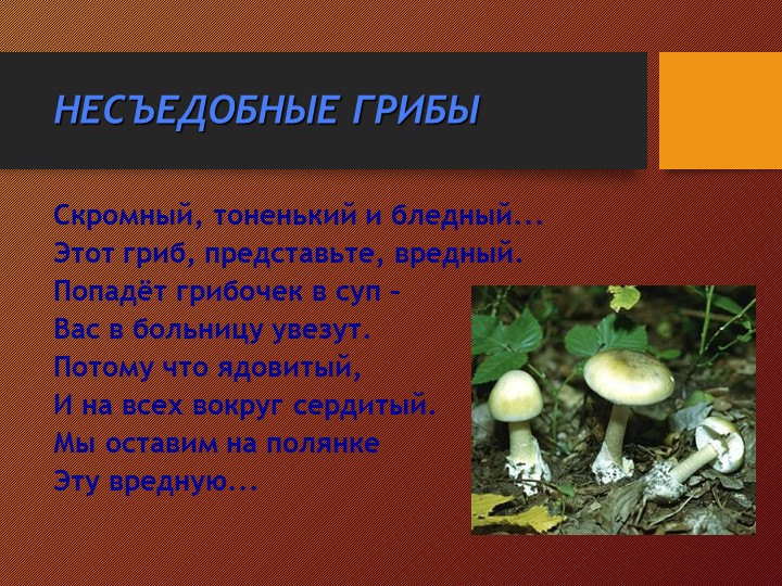 Презентация на тему:"Съедобные и несъедобные грибы"