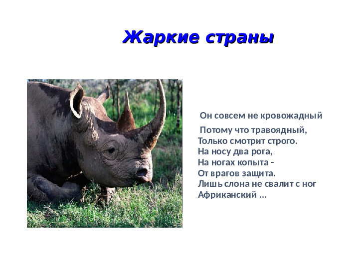 Презентация на тему: "Животные холодных и жарких стран"