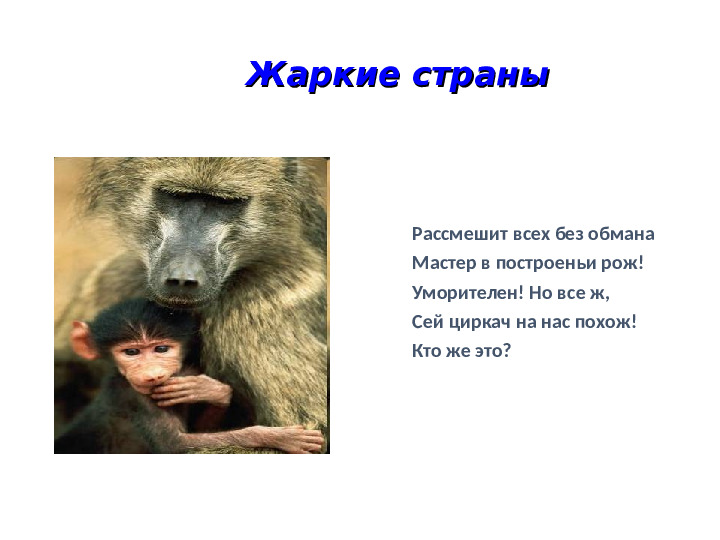 Презентация на тему: "Животные холодных и жарких стран"