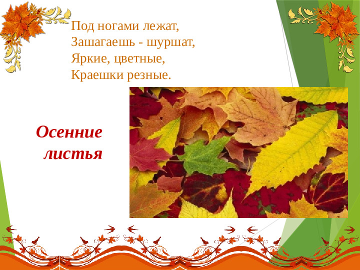 Презентация на тему:"Осенние загадки"
