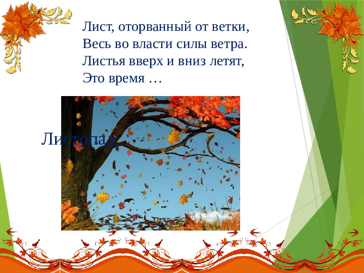 Презентация на тему:"Осенние загадки"