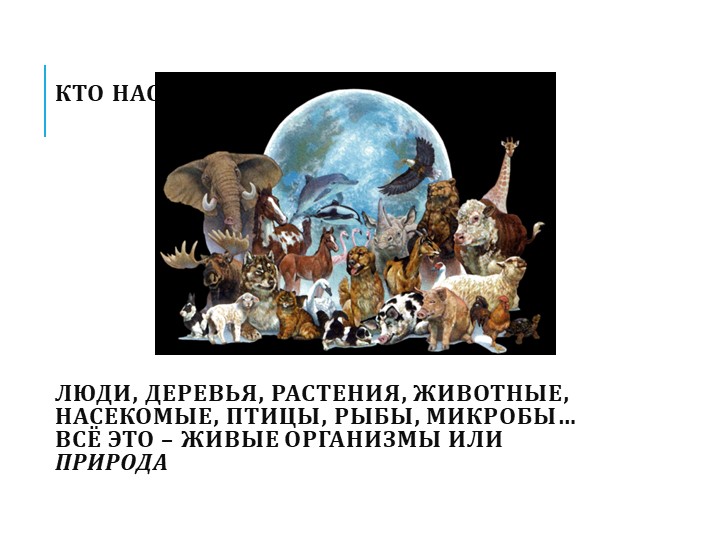 Презентация на тему"Мы в ответе за природу"