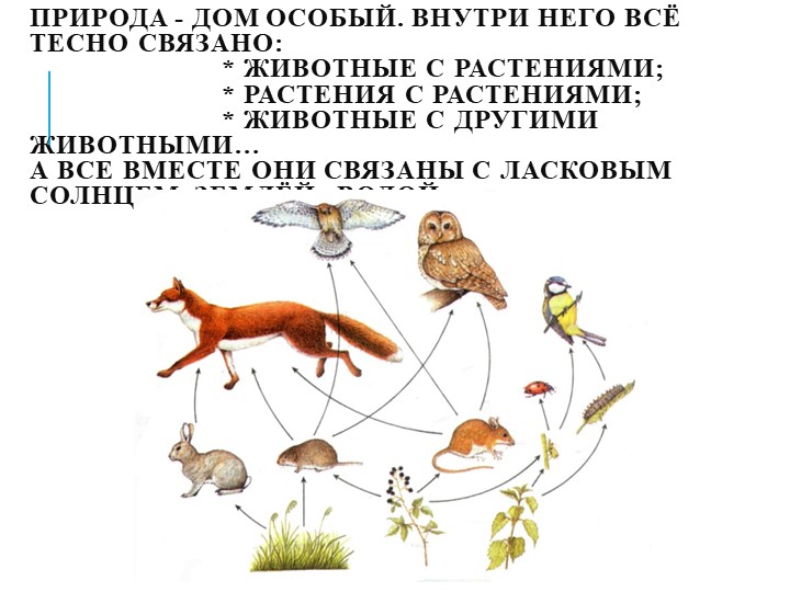 Презентация на тему"Мы в ответе за природу"