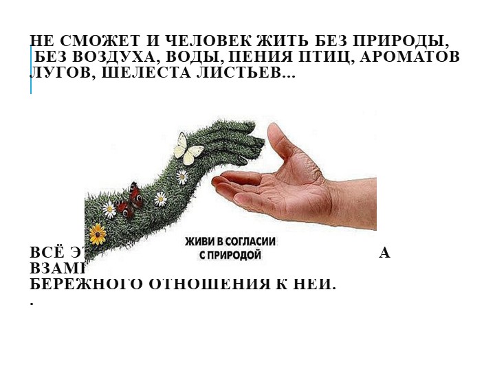 Презентация на тему"Мы в ответе за природу"