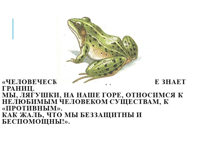 Презентация на тему"Мы в ответе за природу"