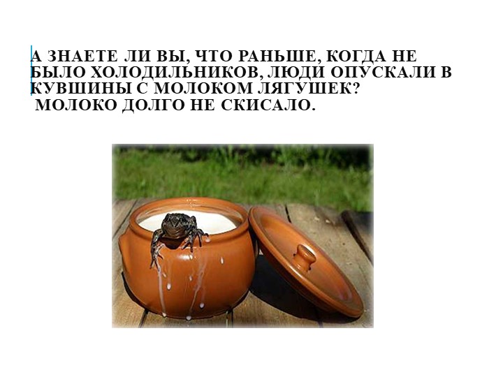 Презентация на тему"Мы в ответе за природу"