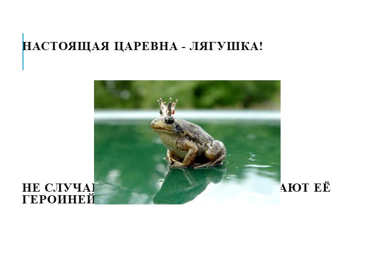 Презентация на тему"Мы в ответе за природу"