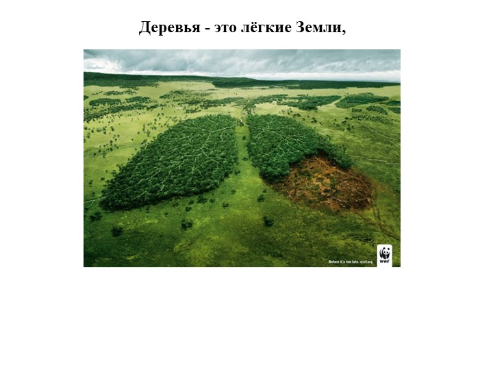 Презентация на тему"Мы в ответе за природу"
