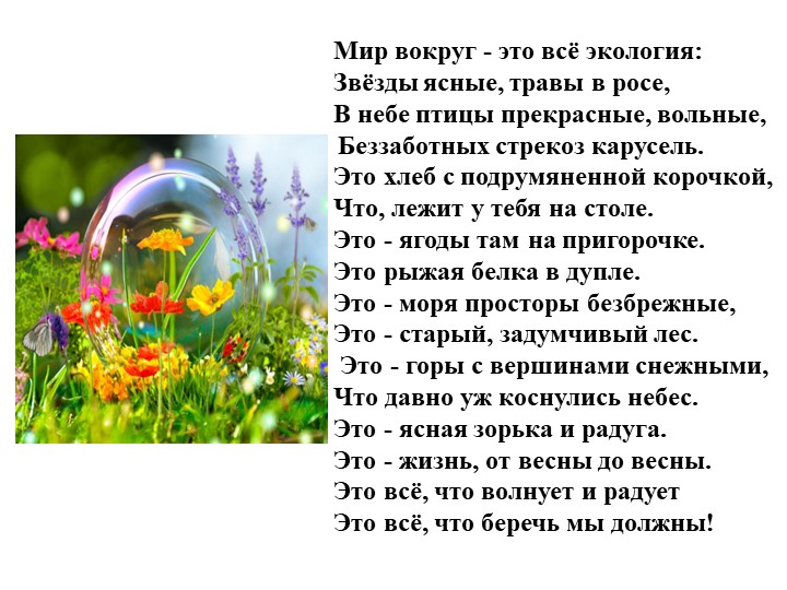 Презентация на тему"Мы в ответе за природу"