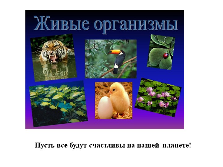 Презентация на тему"Мы в ответе за природу"