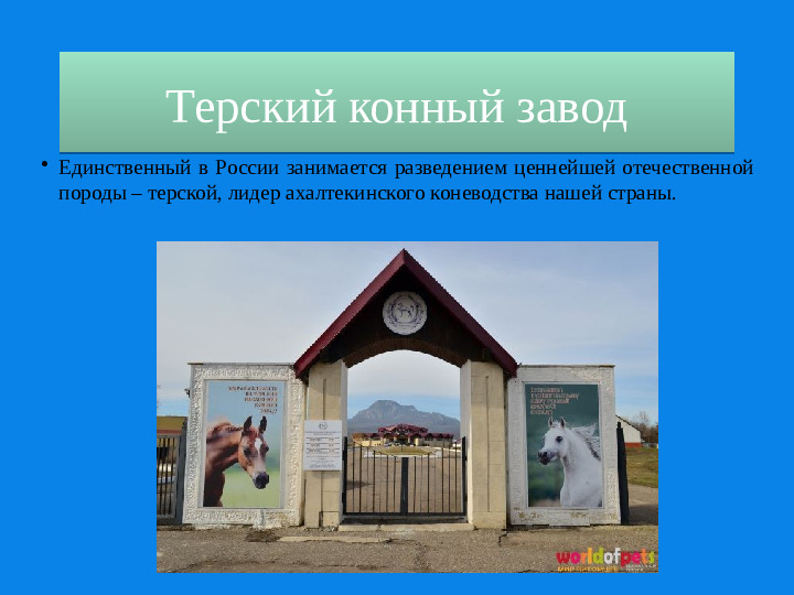 Презентация о Ставропольском крае