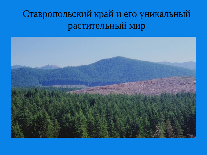 Презентация о Ставропольском крае