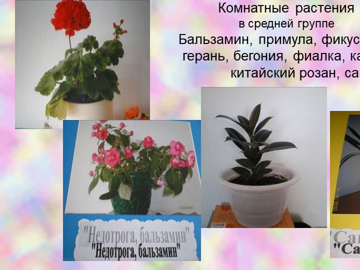 Презентация по познавательному развитию