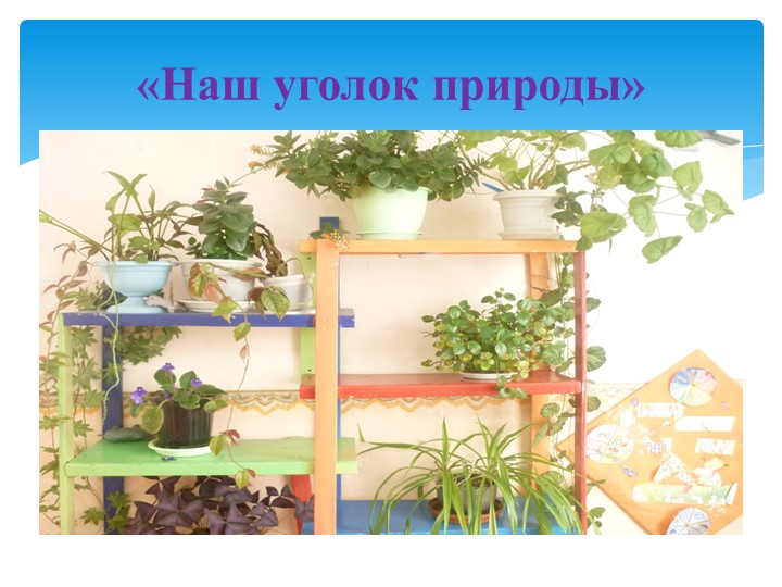 Презентация по познавательному развитию