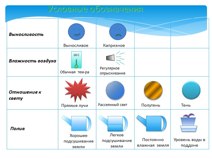 Презентация по познавательному развитию