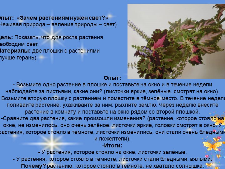 Презентация по познавательному развитию
