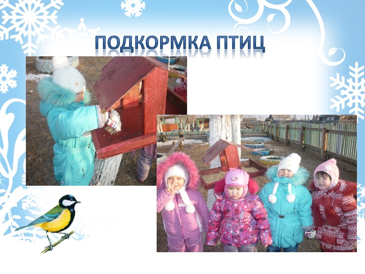 Презентация по познавательному развитию