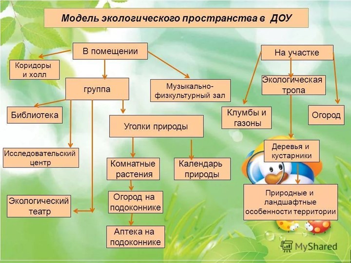 Обзор программ по экологическому воспитанию в ДОУ
