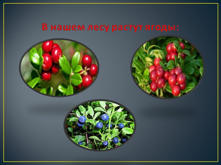 Презентация исследовательского проекта "Самая полезная ягода"