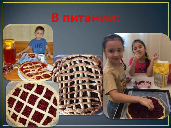 Презентация исследовательского проекта "Самая полезная ягода"