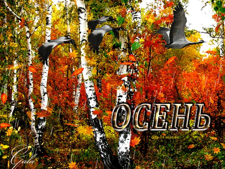 Презентация на тему: Красавица Осень"